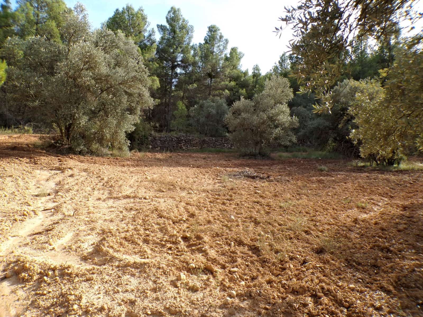 Finca/Country House for sale in La Fresneda - € 7,500 (Ref: 9335187)