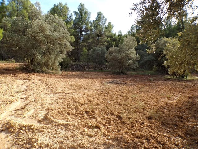 Finca/Casa di Campagna in vendita in La Fresneda - 7.500 € (Rif: 9335187)