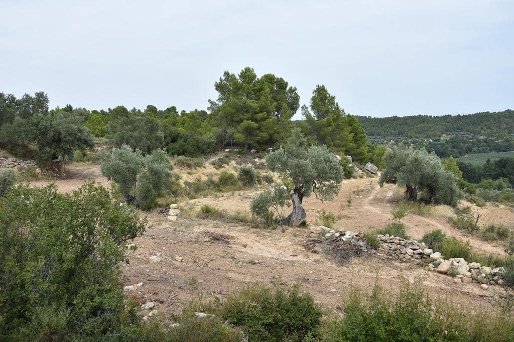 Finca/Casa Rural en La Fresneda en venta - 8.500 € (Ref: 9338462)