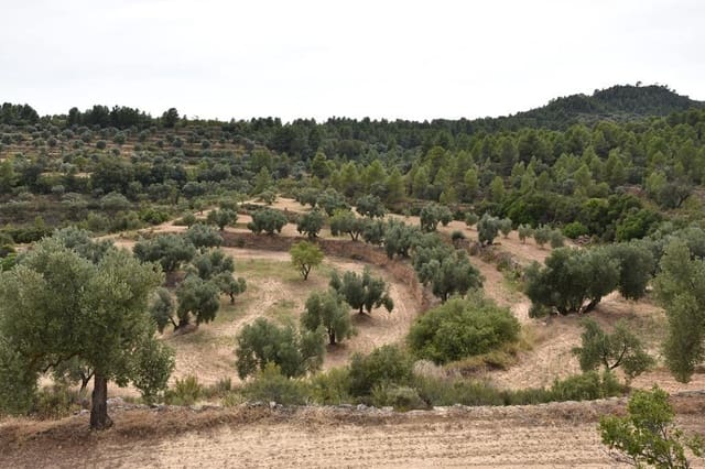 Finca/Casa di Campagna in vendita in La Fresneda - 8.500 € (Rif: 9338462)