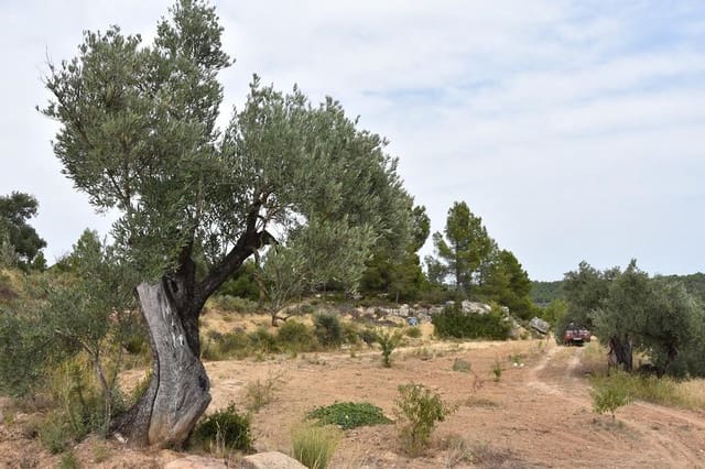 Finca/Casa di Campagna in vendita in La Fresneda - 8.500 € (Rif: 9338462)