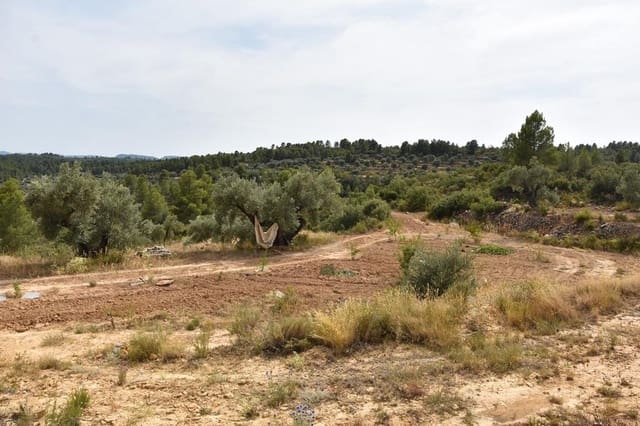 Finca/Casa di Campagna in vendita in La Fresneda - 8.500 € (Rif: 9338462)