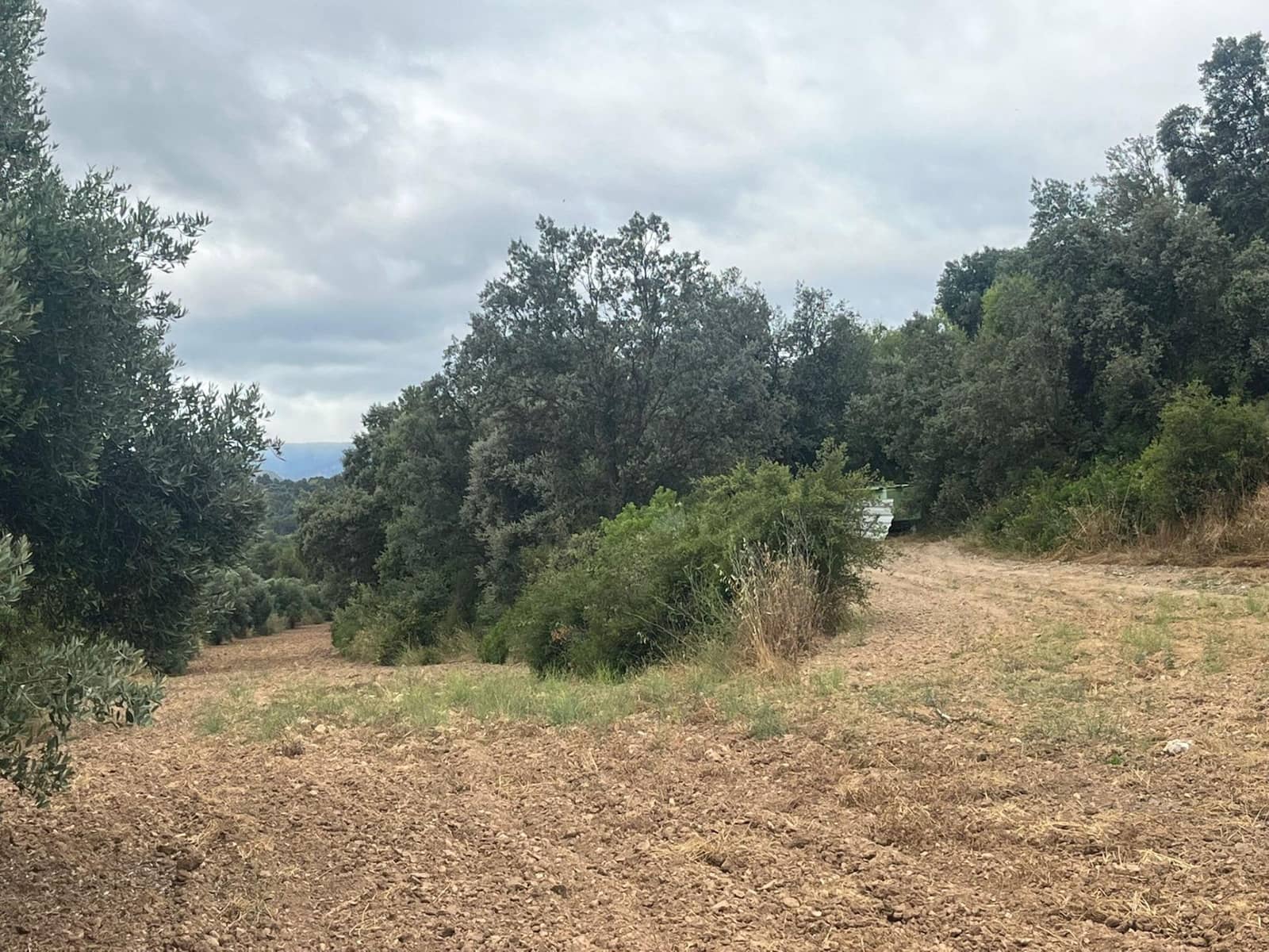 2 sovrum Finca/Hus på landet till salu i Lledo - 150 000 € (Ref: 9347620)