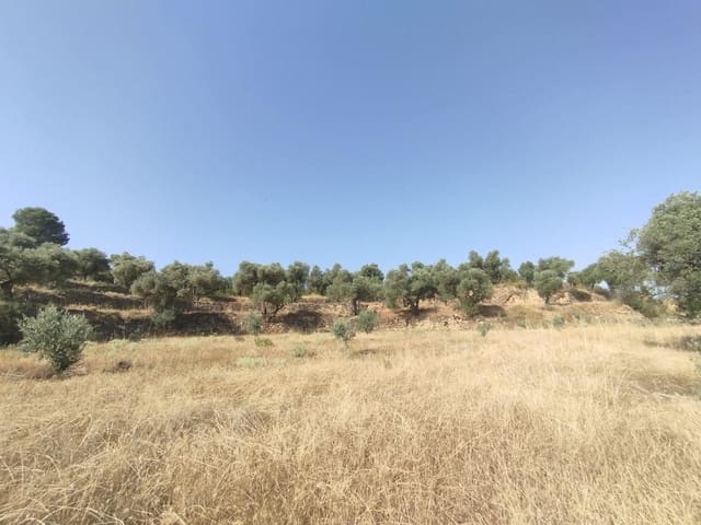 1 slaapkamer Finca/Landhuis te koop in Calaceite - € 30.000 (Ref: 9349402)