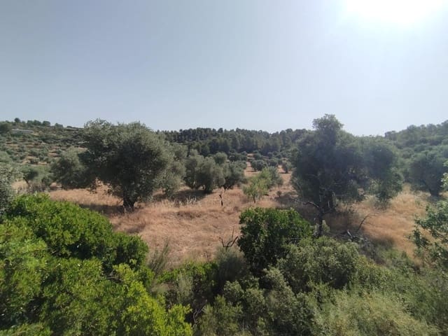 1 slaapkamer Finca/Landhuis te koop in Calaceite - € 30.000 (Ref: 9349402)