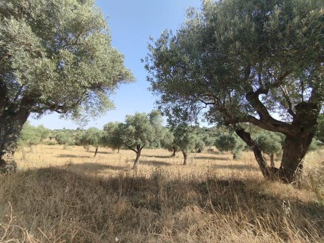 1 slaapkamer Finca/Landhuis te koop in Calaceite - € 30.000 (Ref: 9349402)