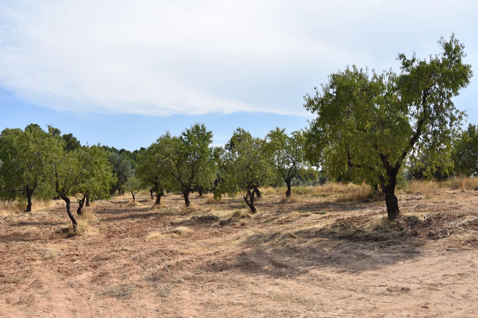 1 soverom Finca/Herregård til salgs i La Portellada - € 7 500 (Ref: 9349403)