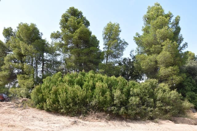 1 bedroom Finca/Country House for sale in La Portellada - € 7,500 (Ref: 9349403)