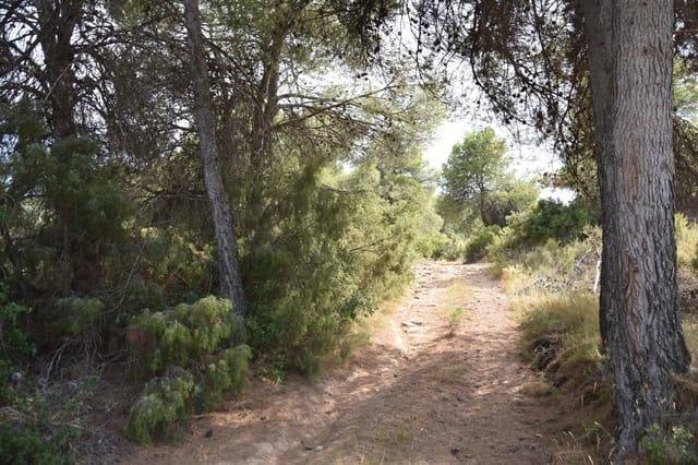 1 bedroom Finca/Country House for sale in La Portellada - € 7,500 (Ref: 9349403)