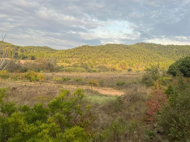 Finca/Landgut zu verkaufen in Arens de Lledó - 63.000 € (Ref: 9353472)