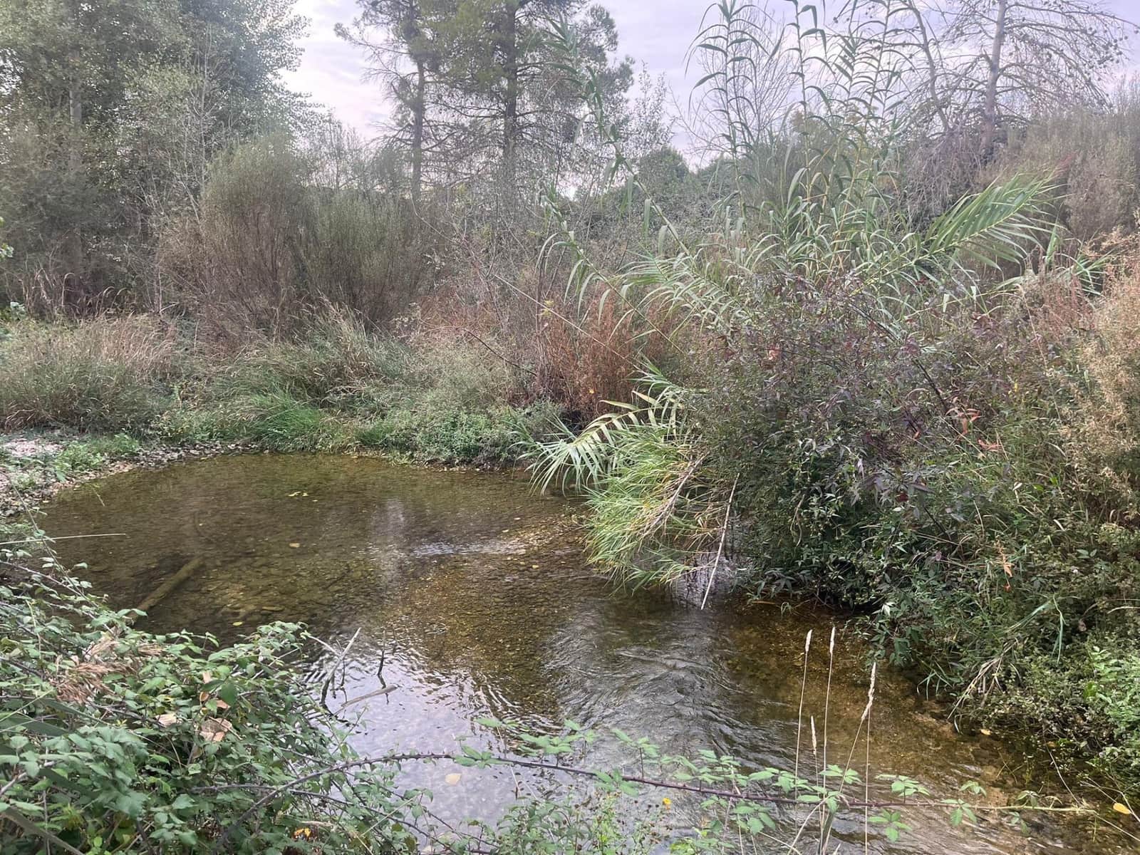 Finca/Landehus til salg i Arens de Lledo - € 63.000 (Ref: 9353472)