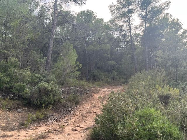 Finca/Landgut zu verkaufen in Arens de Lledó - 63.000 € (Ref: 9353472)