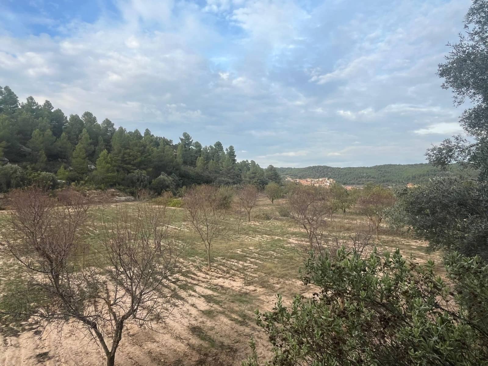 Finca/Landgut zu verkaufen in Arens de Lledo - 16.500 € (Ref: 9353473)