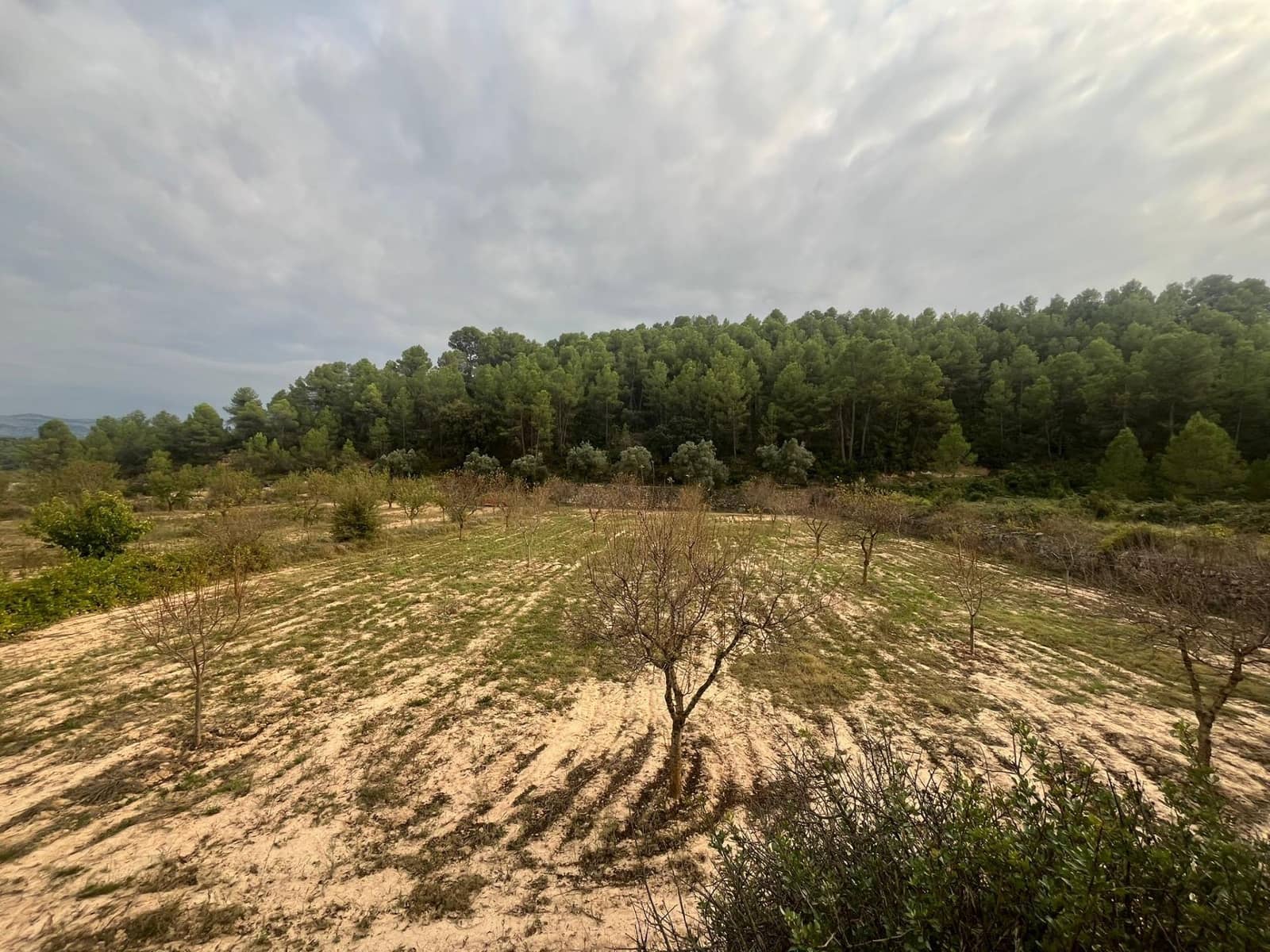 Finca/Landgut zu verkaufen in Arens de Lledo - 16.500 € (Ref: 9353473)