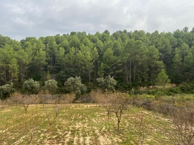 Finca/Landehus til salg i Arens de Lledó - € 16.500 (Ref: 9353473)