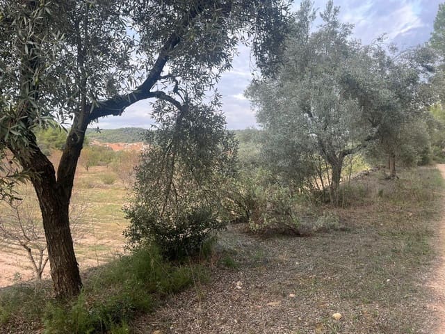 Finca/Landehus til salg i Arens de Lledó - € 16.500 (Ref: 9353473)