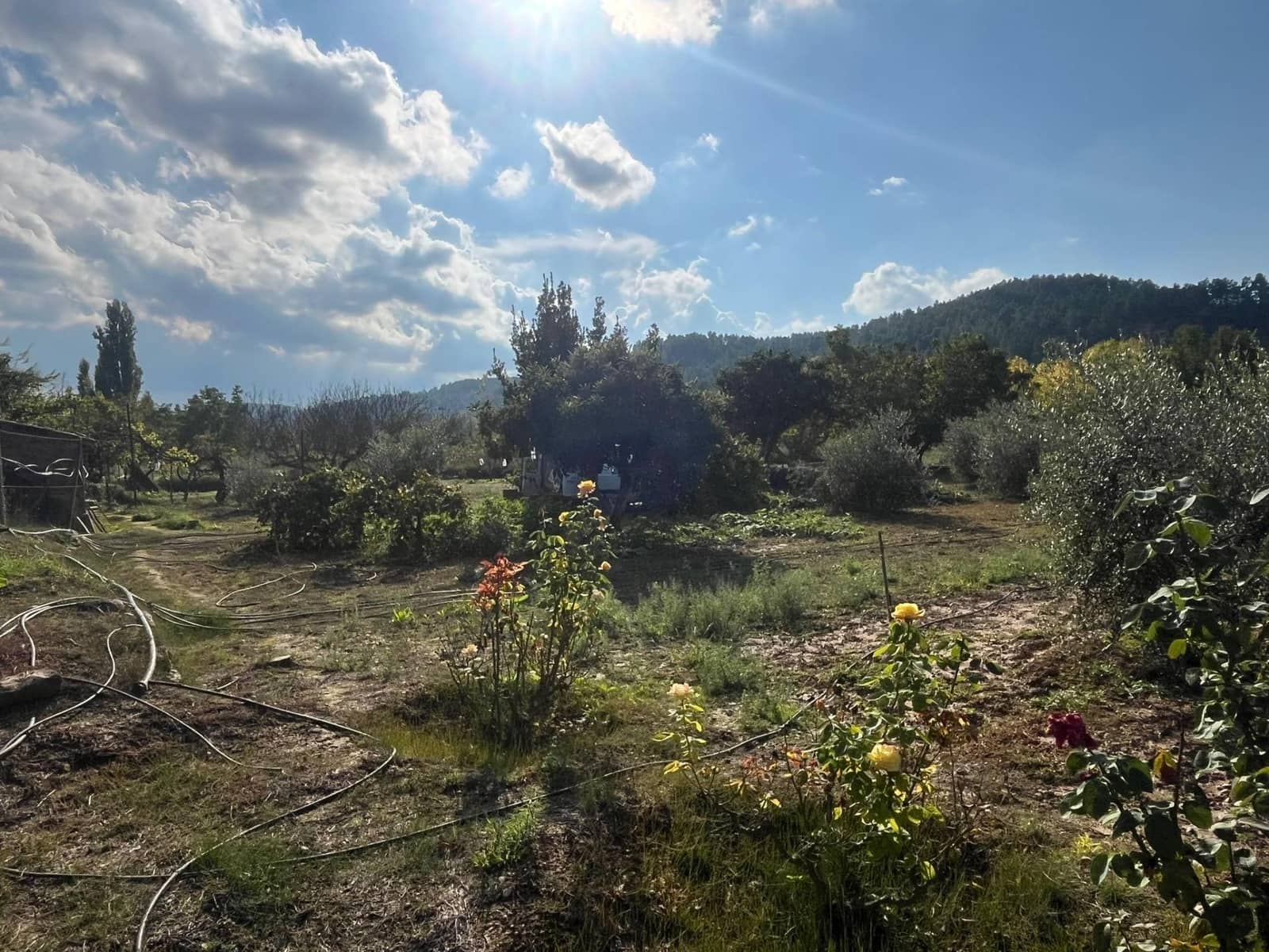 1 sovrum Finca/Hus på landet till salu i Torre del Compte - 34 000 € (Ref: 9367382)