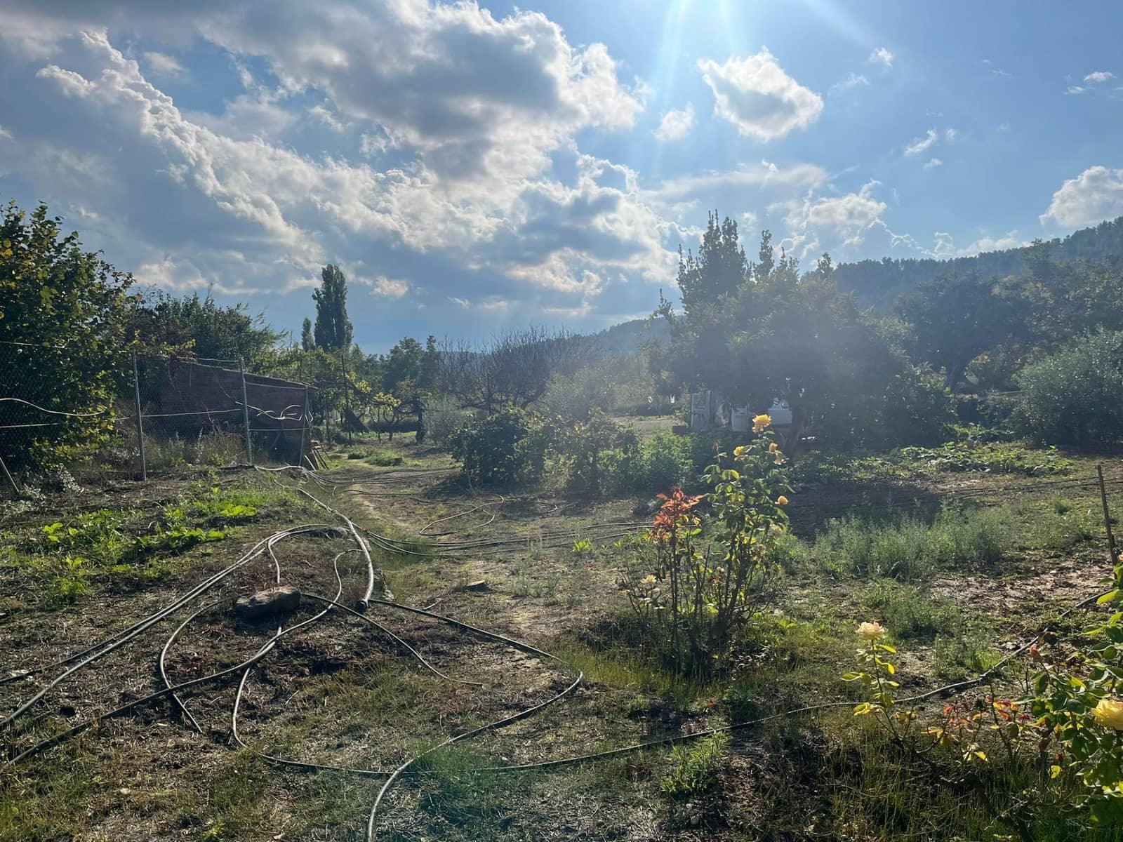 1 sovrum Finca/Hus på landet till salu i Torre del Compte - 34 000 € (Ref: 9367382)