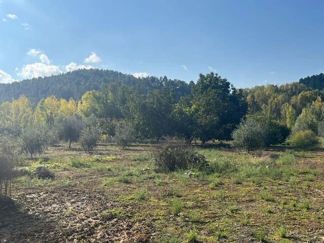 1 bedroom Finca/Country House for sale in Torre del Compte - € 34,000 (Ref: 9367382)