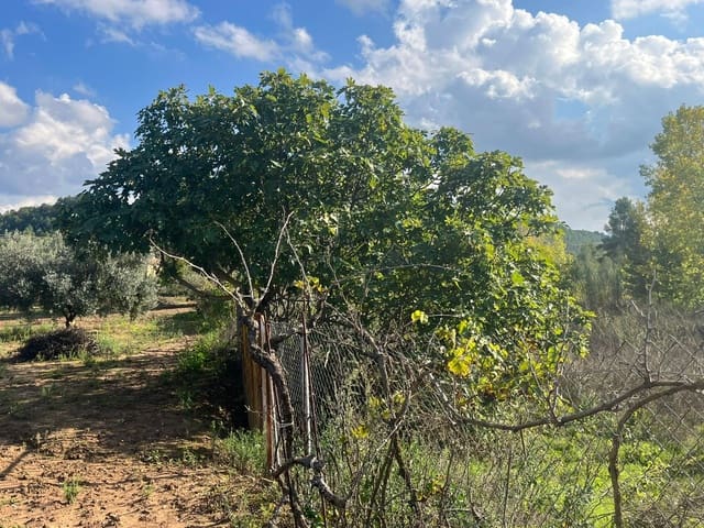 1 bedroom Finca/Country House for sale in Torre del Compte - € 34,000 (Ref: 9367382)