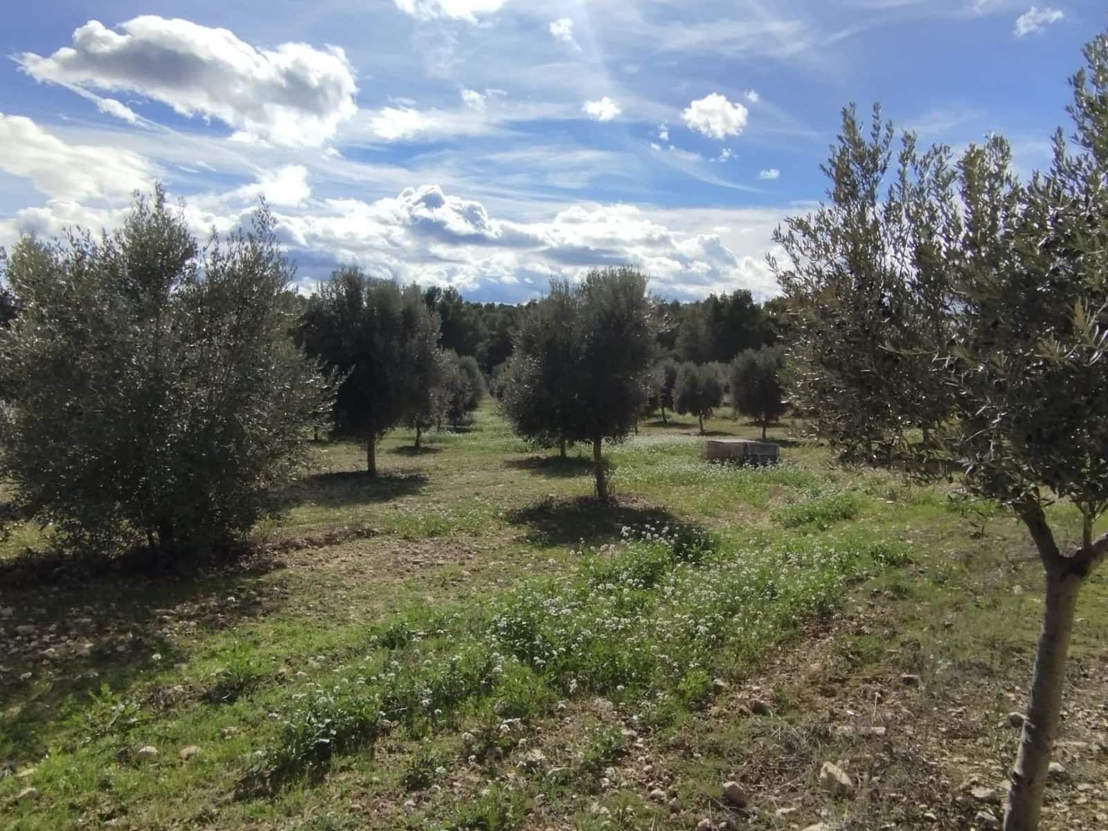 2 soveværelse Finca/Landehus til salg i Lledo - € 480.000 (Ref: 9379253)