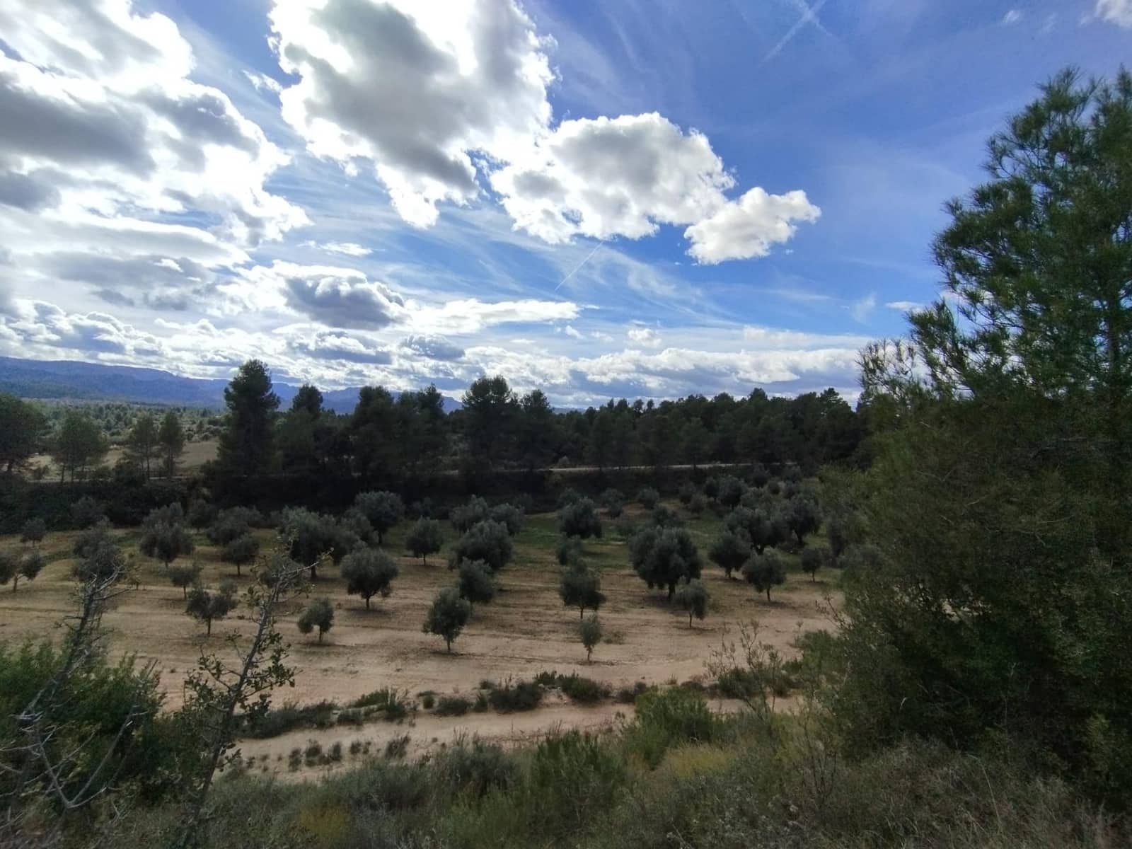 2 soveværelse Finca/Landehus til salg i Lledo - € 480.000 (Ref: 9379253)