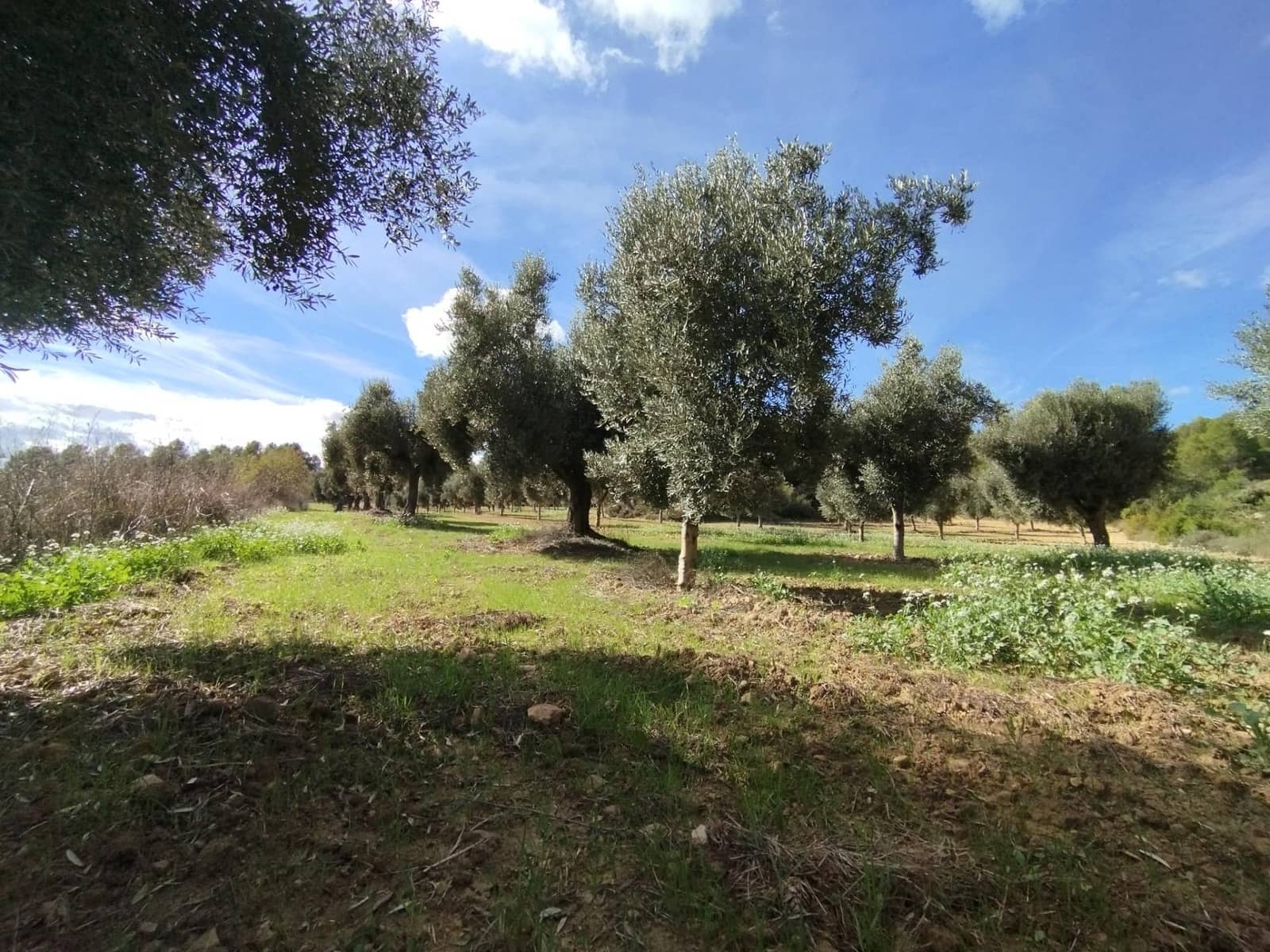 2 soveværelse Finca/Landehus til salg i Lledo - € 480.000 (Ref: 9379253)