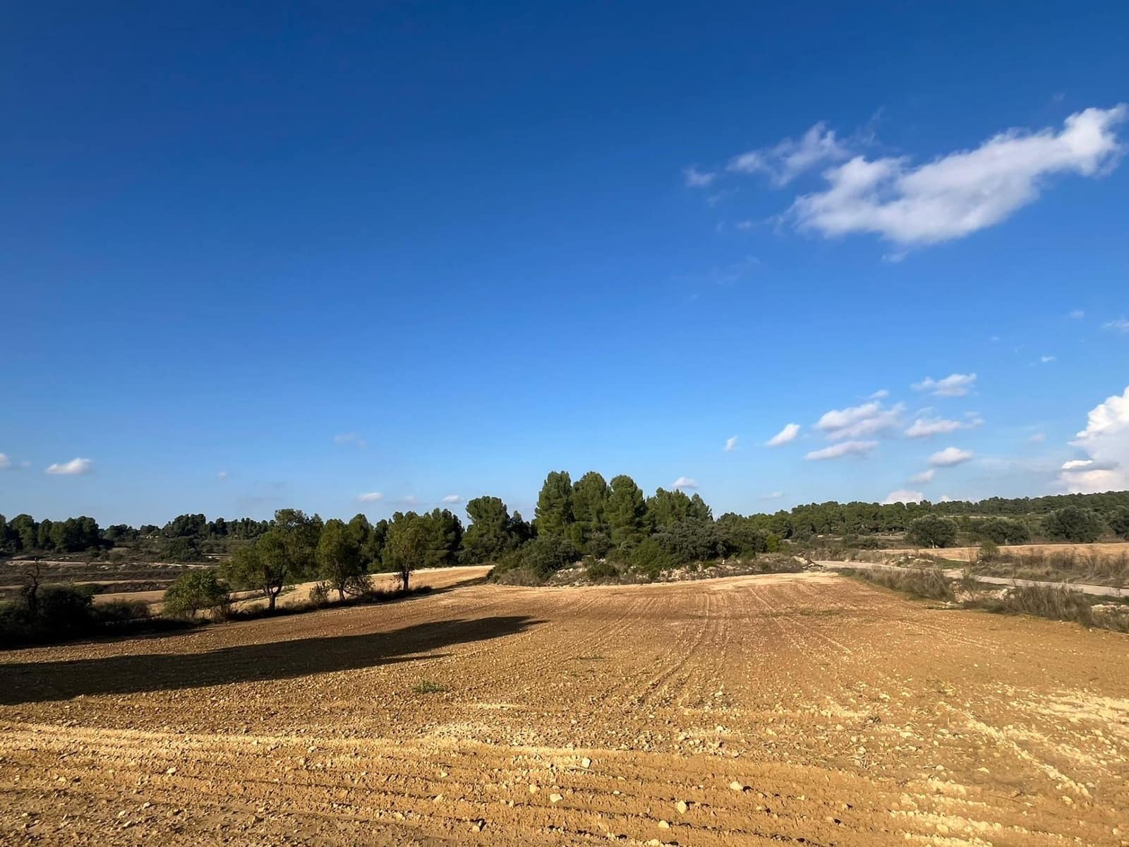 1 slaapkamer Finca/Landhuis te koop in Torre del Compte - € 49.000 (Ref: 9386151)