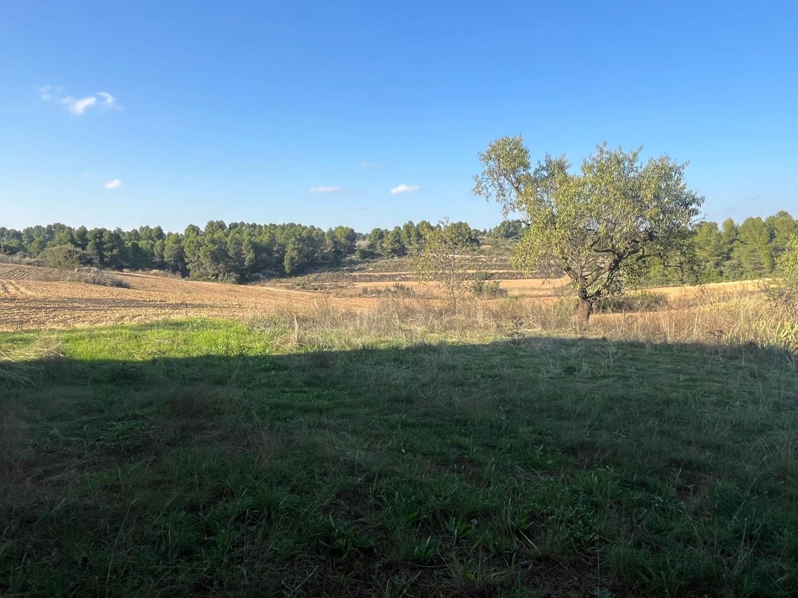 1 slaapkamer Finca/Landhuis te koop in Torre del Compte - € 49.000 (Ref: 9386151)