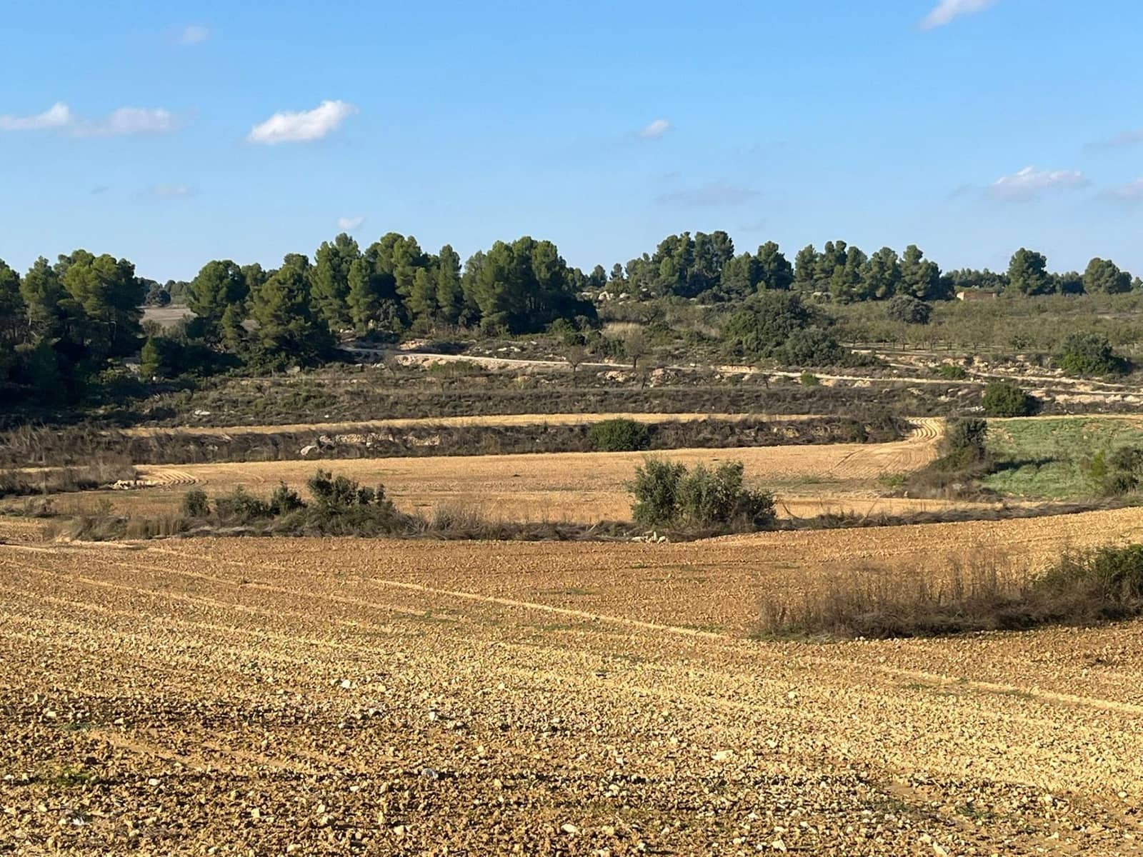 1 slaapkamer Finca/Landhuis te koop in Torre del Compte - € 49.000 (Ref: 9386151)