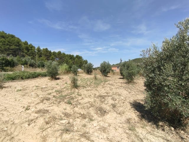 1 slaapkamer Finca/Landhuis te koop in Valderrobres - € 25.000 (Ref: 9388124)