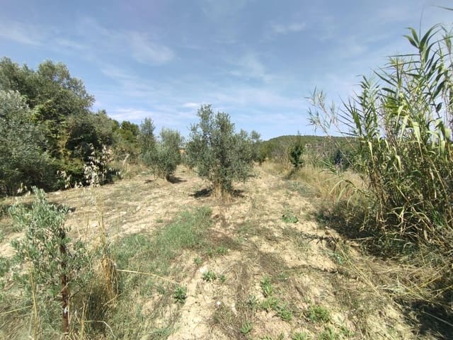 1 slaapkamer Finca/Landhuis te koop in Valderrobres - € 25.000 (Ref: 9388124)