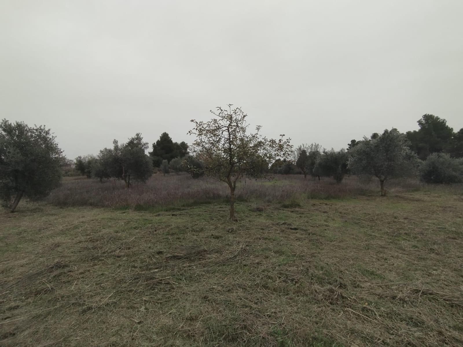 2 soverom Finca/Herregård til salgs i Valderrobres - € 78 000 (Ref: 9414283)