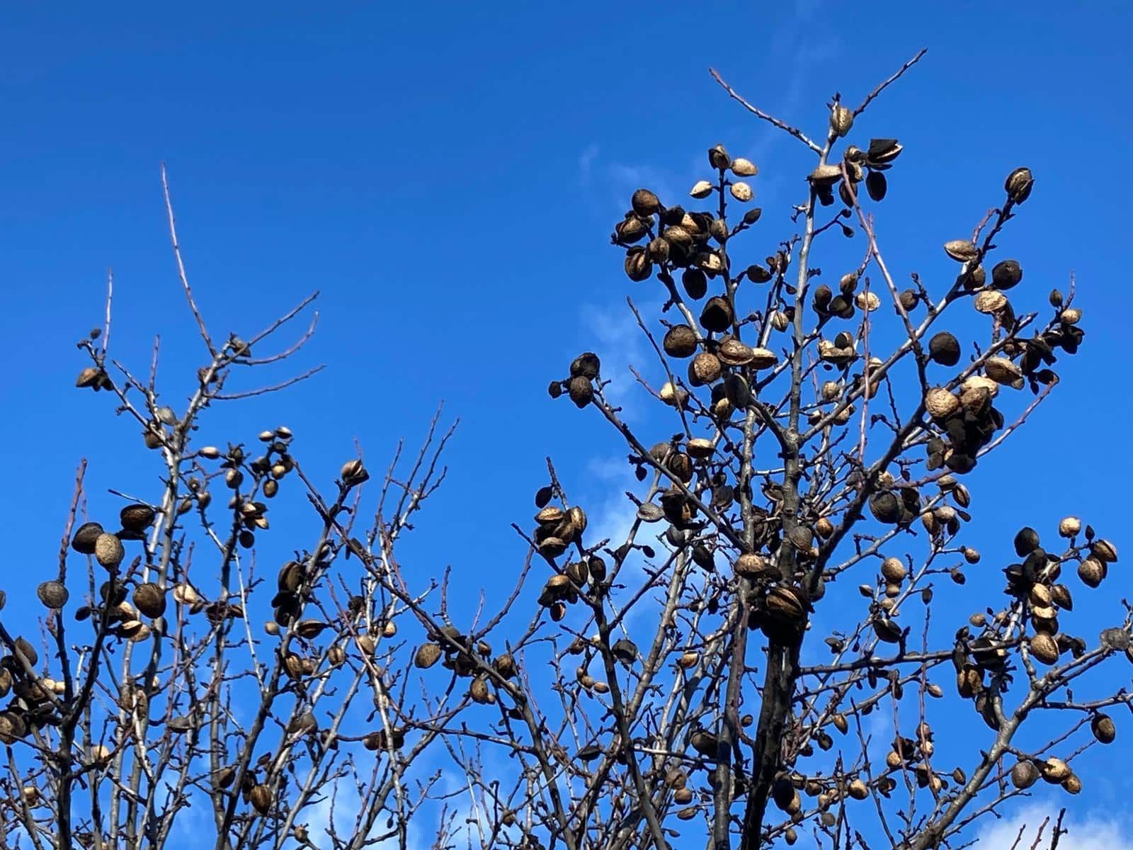 3 bedroom Finca/Country House for sale in Arens de Lledo - € 450,000 (Ref: 9427424)