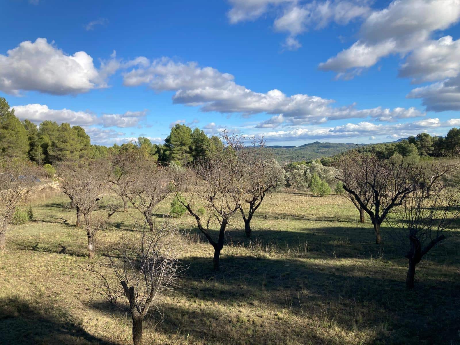 3 bedroom Finca/Country House for sale in Arens de Lledo - € 450,000 (Ref: 9427424)