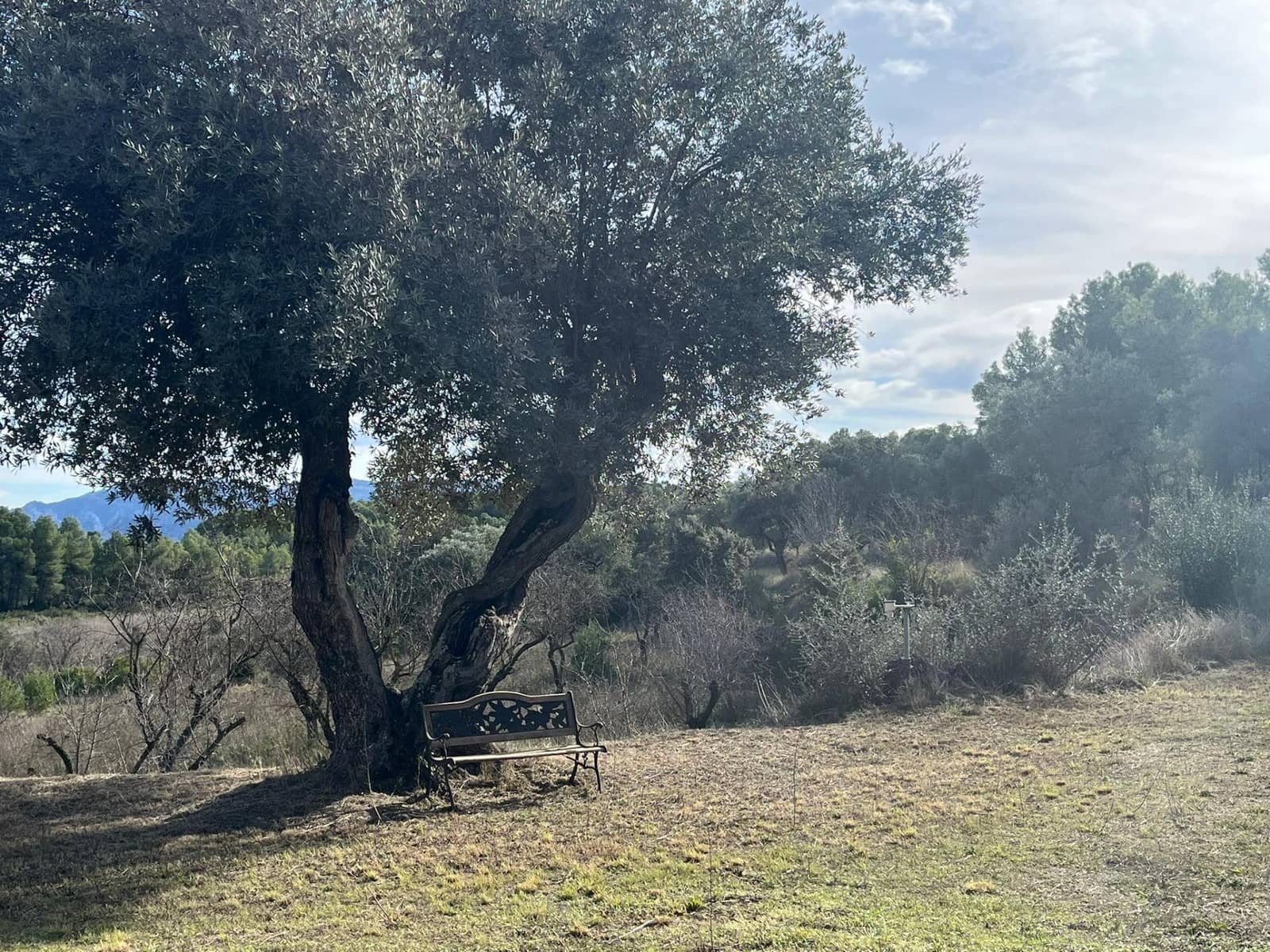 3 bedroom Finca/Country House for sale in Arens de Lledo - € 450,000 (Ref: 9427424)