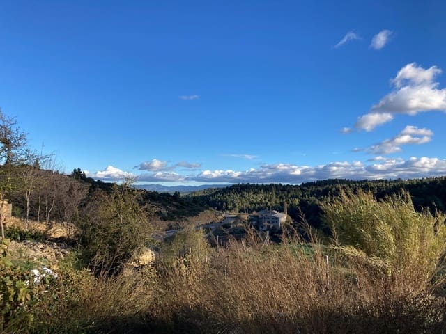 Tontti myytävänä paikassa Valjunquera - 35 000 € (Ref: 9449585)