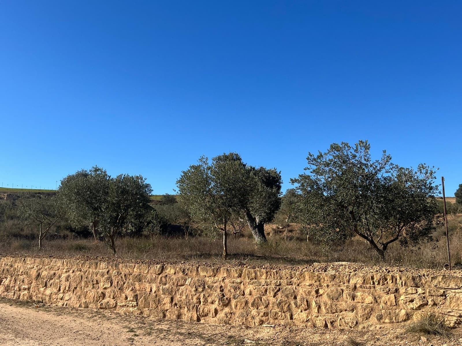 3 soverom Finca/Herregård til salgs i Caspe - € 160 000 (Ref: 9450436)