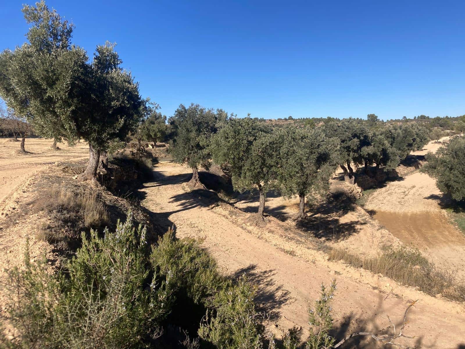 1 chambre Finca/Maison de Campagne à vendre à Calaceite - 17 000 € (Ref: 9450437)