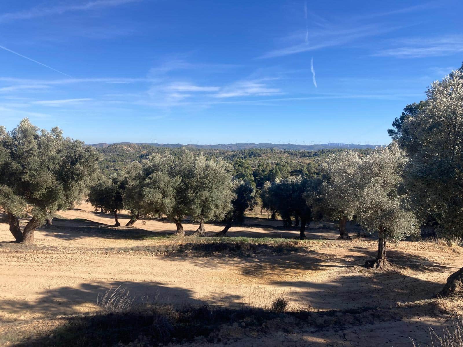 1 chambre Finca/Maison de Campagne à vendre à Calaceite - 17 000 € (Ref: 9450437)