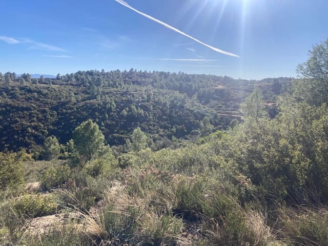 1 chambre Finca/Maison de Campagne à vendre à Calaceite - 17 000 € (Ref: 9450437)