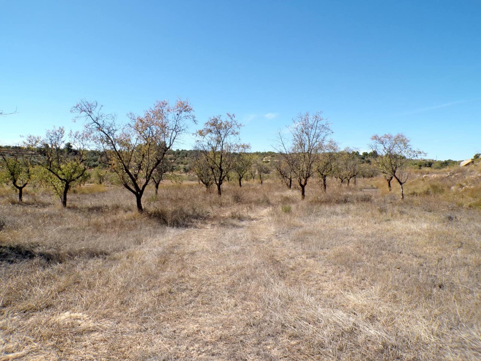 Finca/Herregård til salgs i Calaceite - € 8 000 (Ref: 9450438)