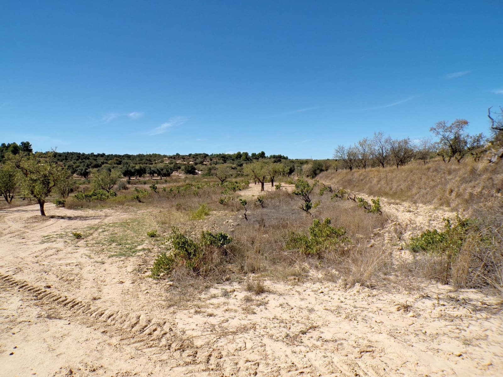 Finca/Herregård til salgs i Calaceite - € 8 000 (Ref: 9450438)