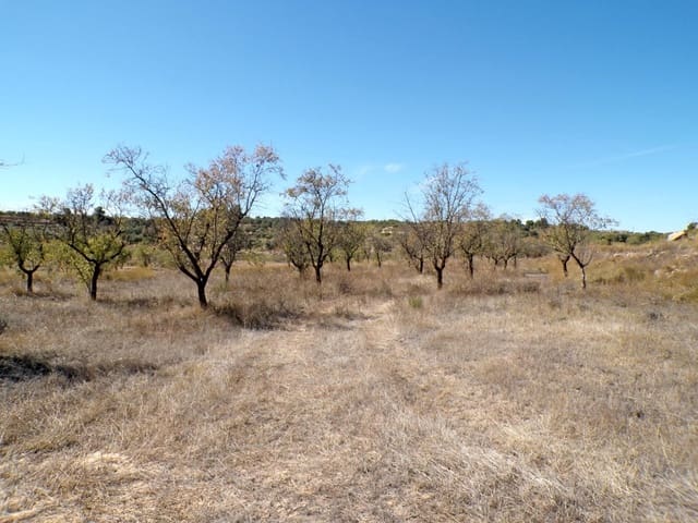 Finca/Hus på landet till salu i Calaceite - 8 000 € (Ref: 9450438)