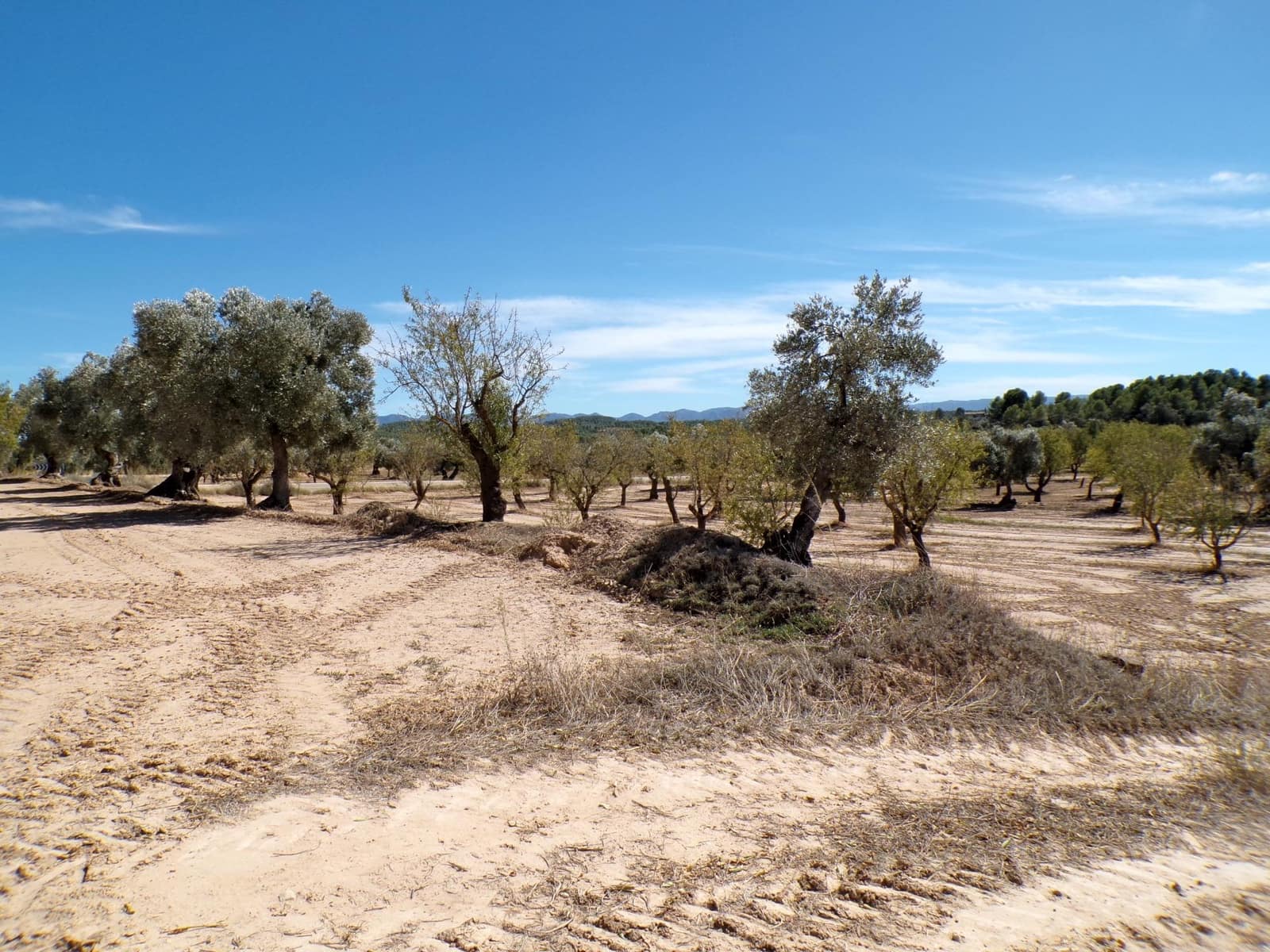 Finca/Herregård til salgs i Calaceite - € 8 000 (Ref: 9450438)