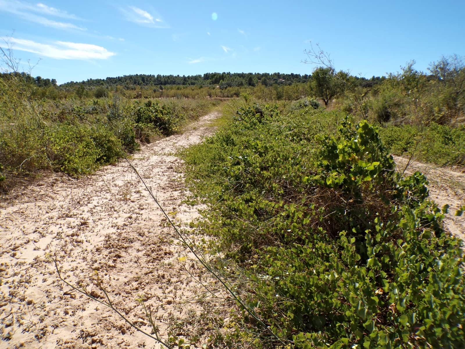 Finca/Herregård til salgs i Calaceite - € 8 000 (Ref: 9450438)