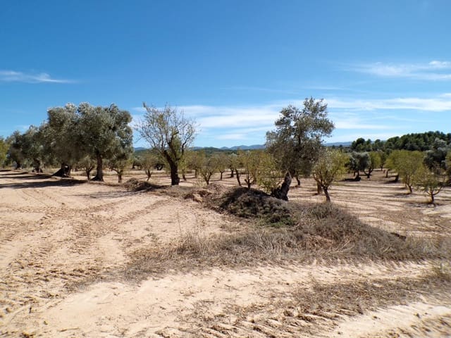 Finca/Hus på landet till salu i Calaceite - 8 000 € (Ref: 9450438)