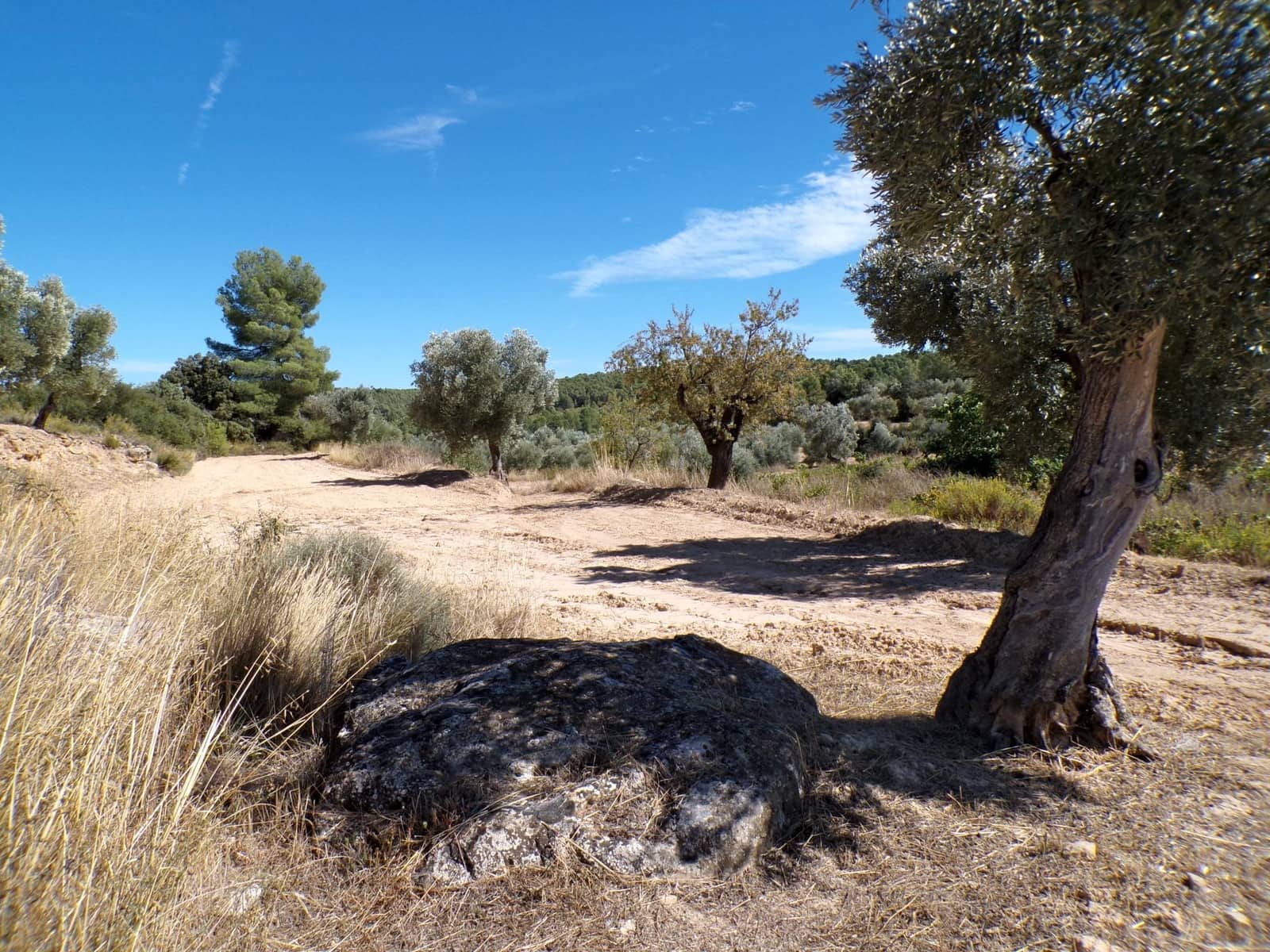 1 soverom Finca/Herregård til salgs i Calaceite - € 19 000 (Ref: 9450439)