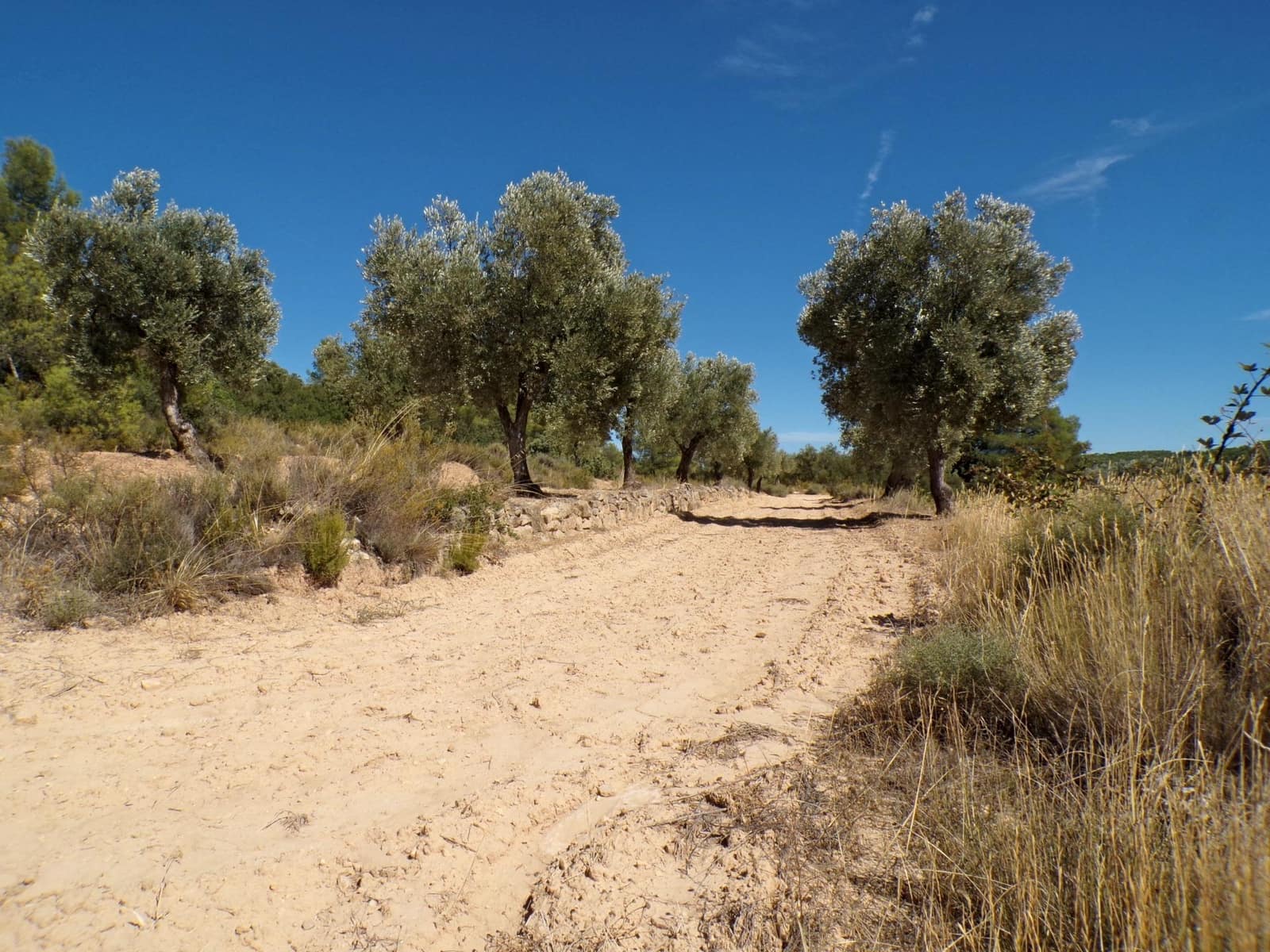 1 soverom Finca/Herregård til salgs i Calaceite - € 19 000 (Ref: 9450439)