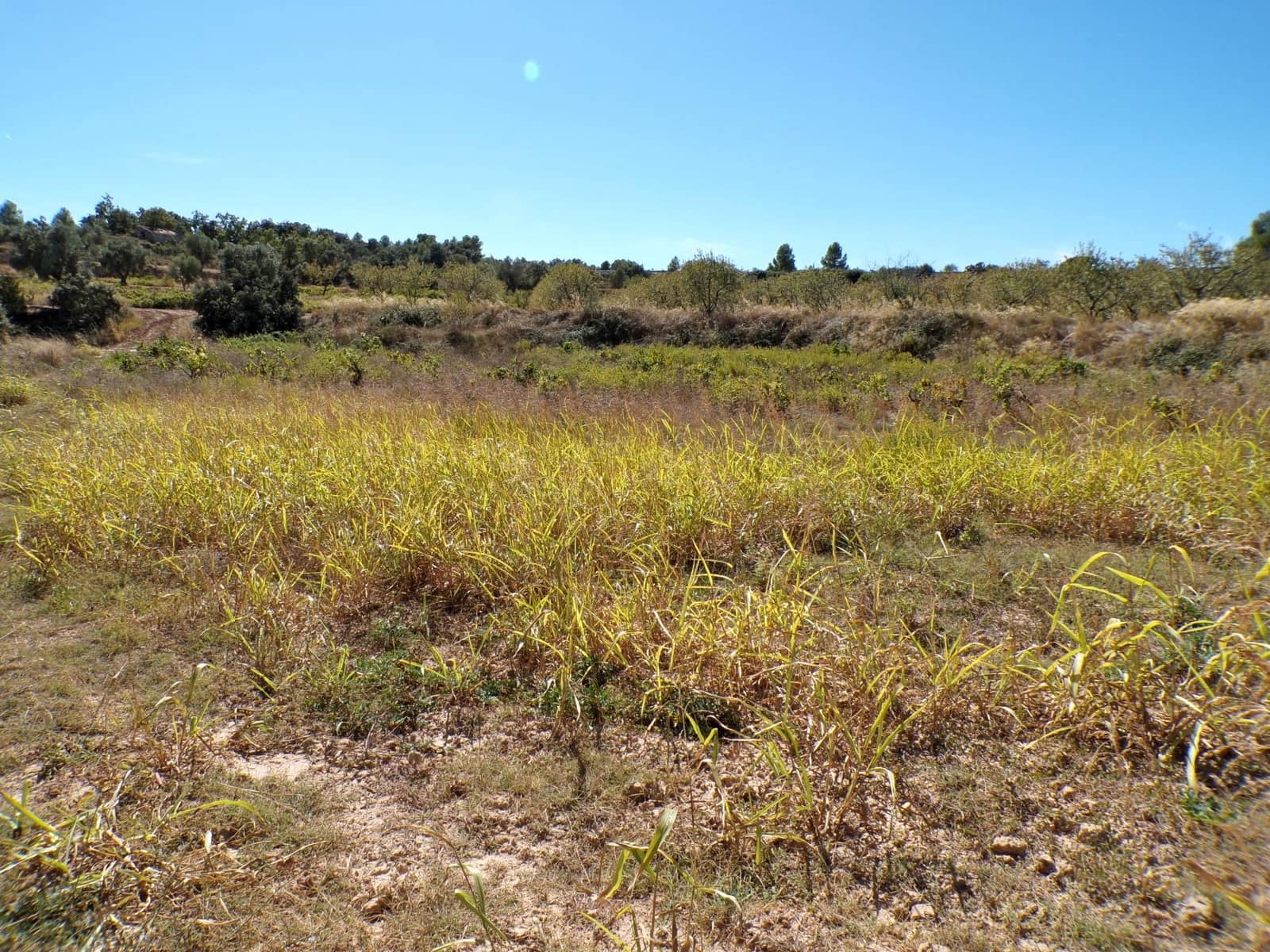 1 soverom Finca/Herregård til salgs i Calaceite - € 19 000 (Ref: 9450439)